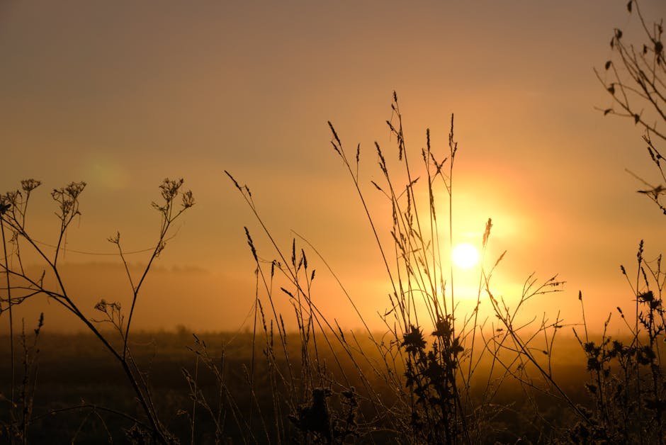 Morning routine for mental health: a soft sunrise over a quiet landscape with mist on the hills, the kind of calm early light that anchors a gentle morning routine for mental health